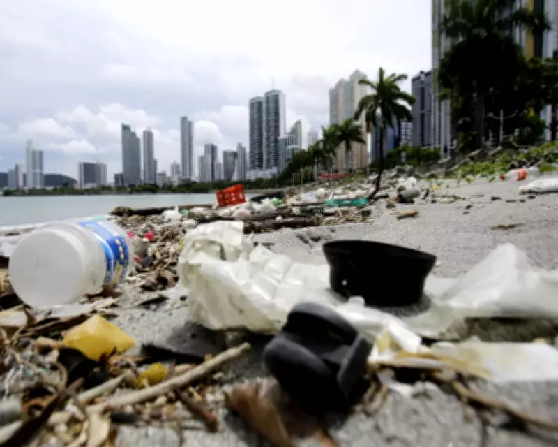 Plastic Food and Drink Packaging Tops Global Coastal Litter List