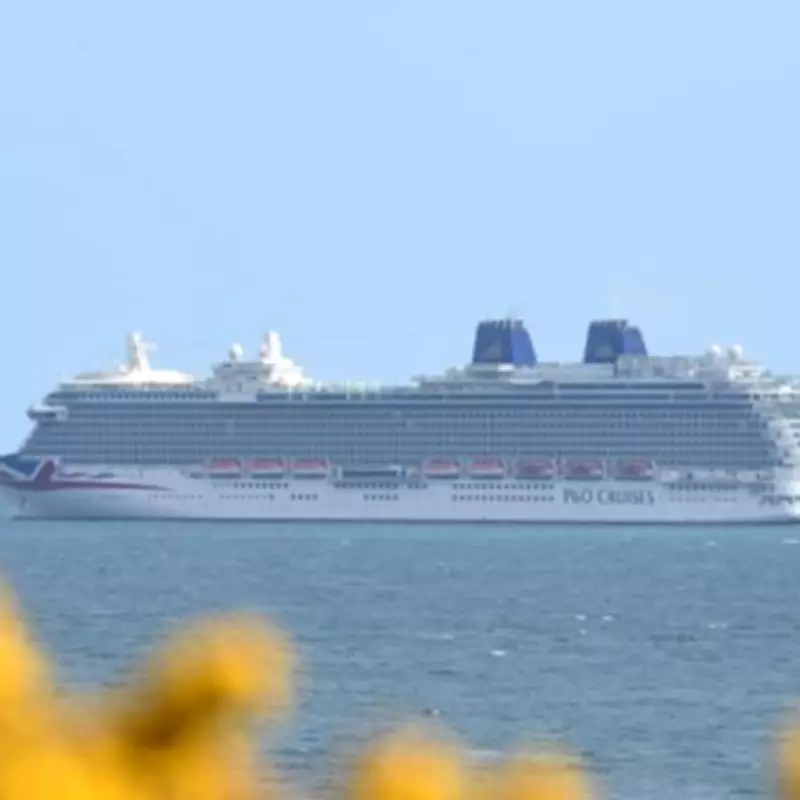 P&O Cruises Warns Passengers of Paracetamol Penalty Risk Abroad
