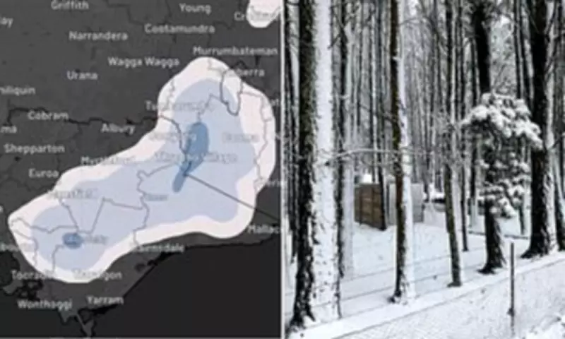 Polar Blast to Bring Heavy Snow and Freezing Temperatures to SE Australia