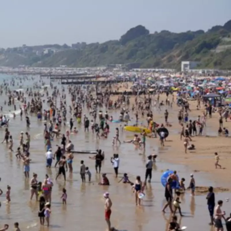 Police Attacked as Mass Brawl Erupts on Bournemouth Beach During UK Heatwave