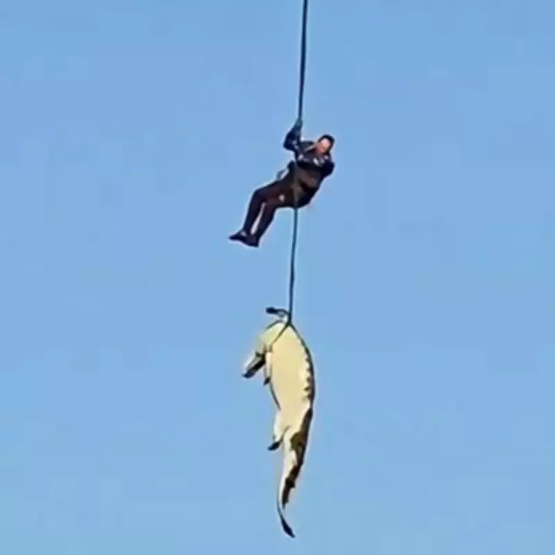 Police Diver Recovers 15-Foot Crocodile Suspected of Eating Missing Man