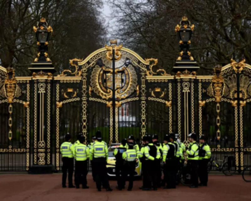 Police Investigation of Prince Andrew: Too Little, Too Late