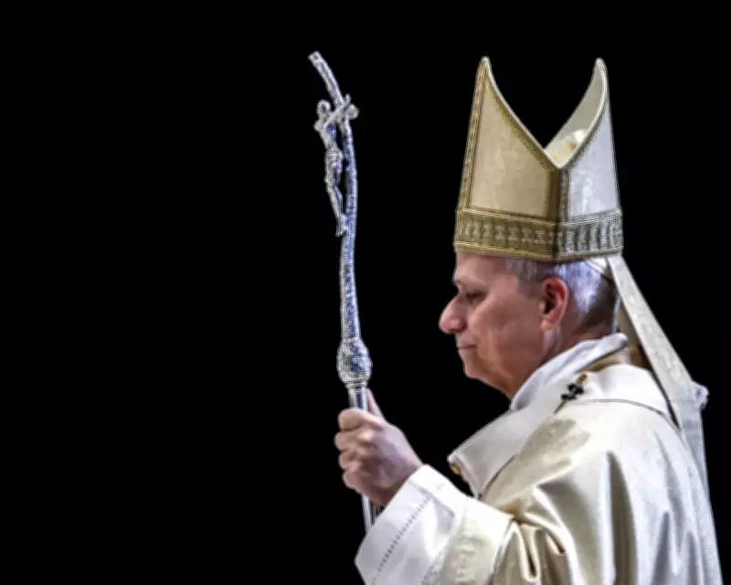 Pope Leo XIV: Wise but Not Infallible, Says Vatican Expert
