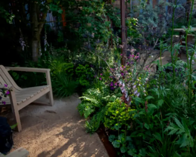 Prickly Garden for Teenagers Wins Gold at Chelsea Flower Show