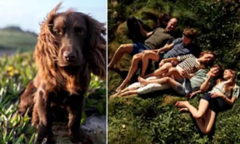 Prince and Princess of Wales Name New Puppy Otto on First Birthday