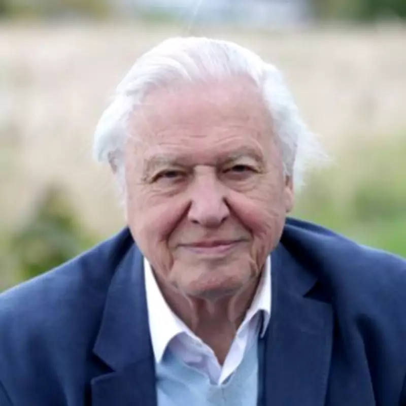 Prince Harry Calls Sir David Attenborough a 'Secular Saint' in Birthday Tribute