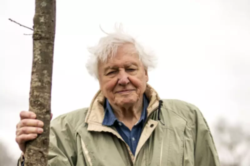 Prince of Wales Hails David Attenborough's 'Profound' Influence on His 100th Birthday