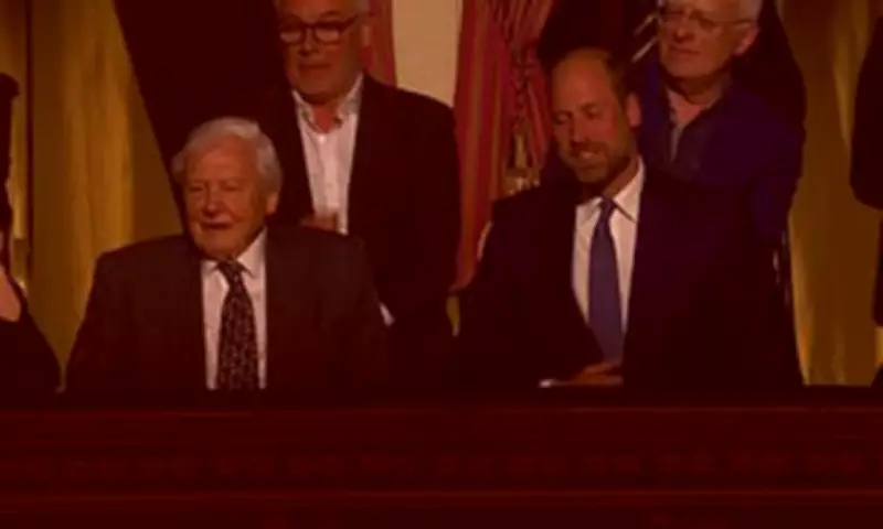 Prince William Joins Celebrities Honouring David Attenborough's 100th Birthday