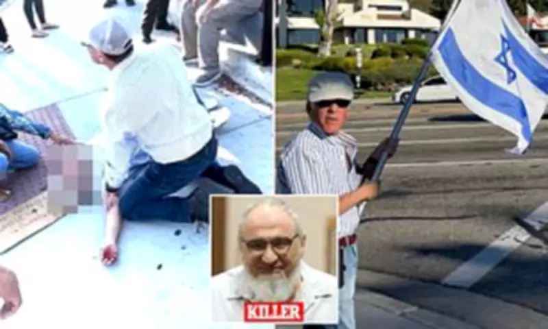 Pro-Palestine protester pleads guilty to killing elderly Jewish man at rally
