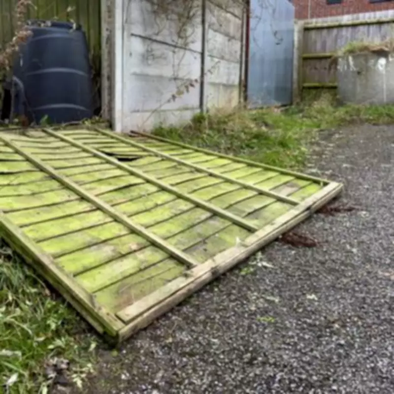 Property Lawyer Reveals £3 Trick to Settle Fence Ownership Disputes