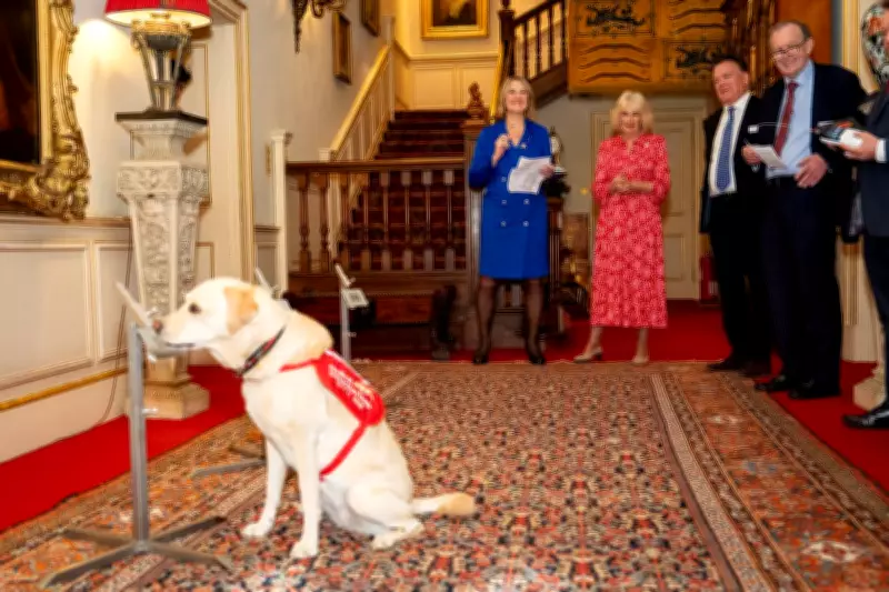 Queen Camilla Says Clarence House Is a Second Home for Cancer-Detecting Dogs