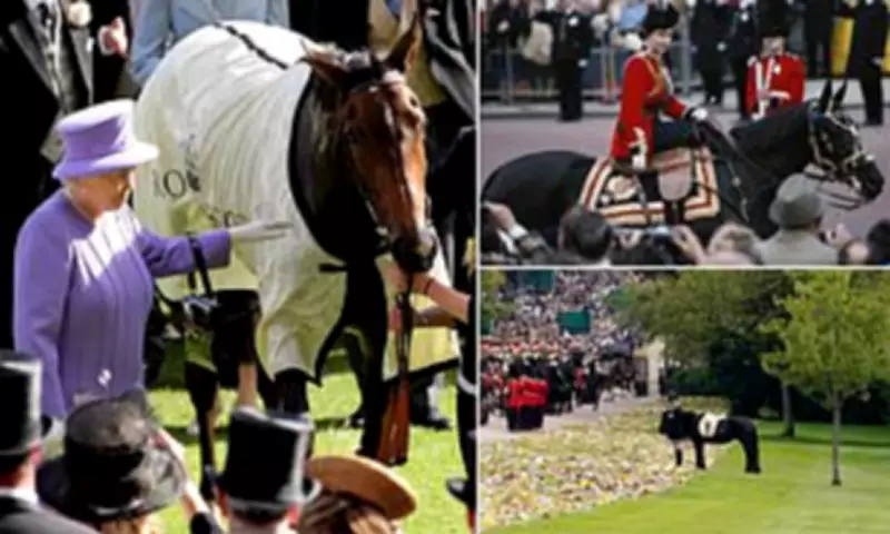 Queen Elizabeth II's Passion for Horses: A 70-Year Legacy of Equestrian Excellence