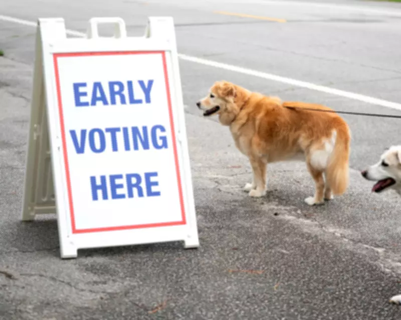 Ranked Choice Voting: A Fairer System for Democracy