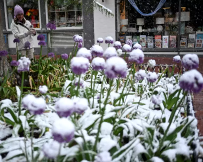 Rare Spring Snowstorm Blankets Colorado in May
