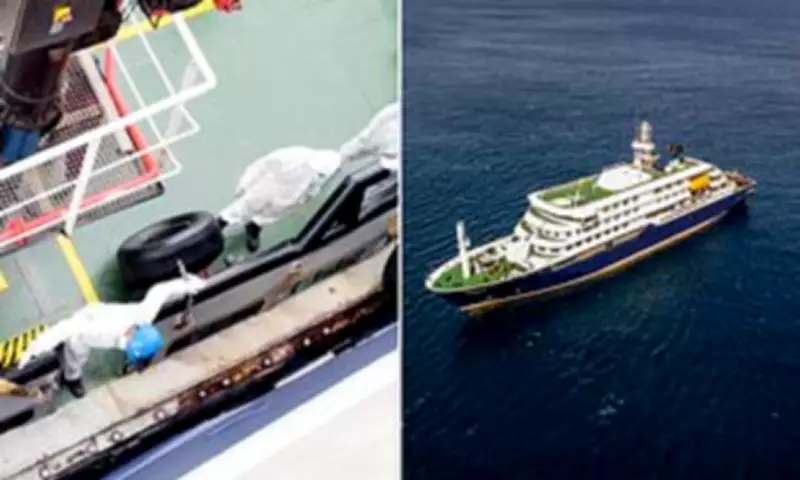 Rat-Borne Virus on Cruise Ship: WHO Traces Flight Passengers After Deaths