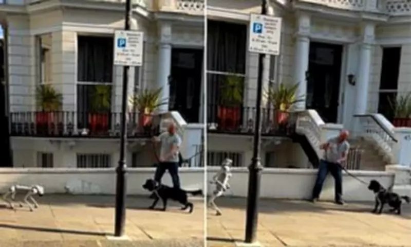 Real Dog Baffled by AI Robot Dog in London's Holland Park