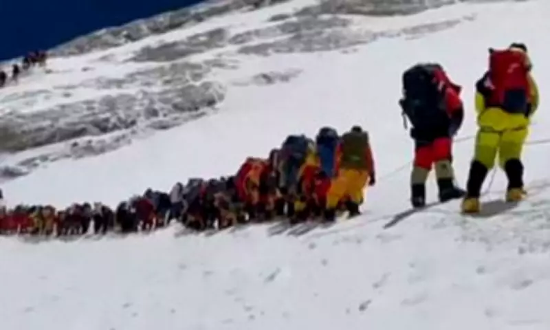 Record 275 Climbers Summit Everest in Single Day, Renewing Overcrowding Fears