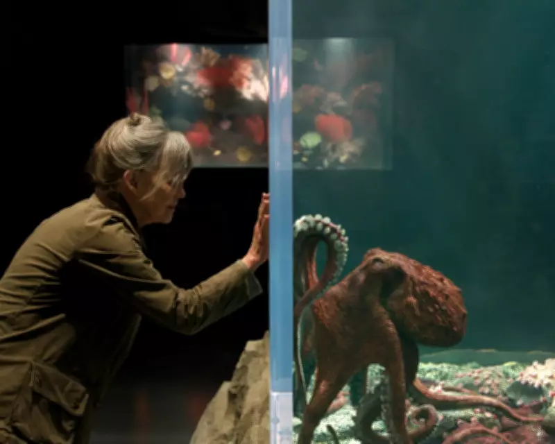 Remarkably Bright Creatures Review: Sally Field Bonds with Octopus in Gentle Netflix Film