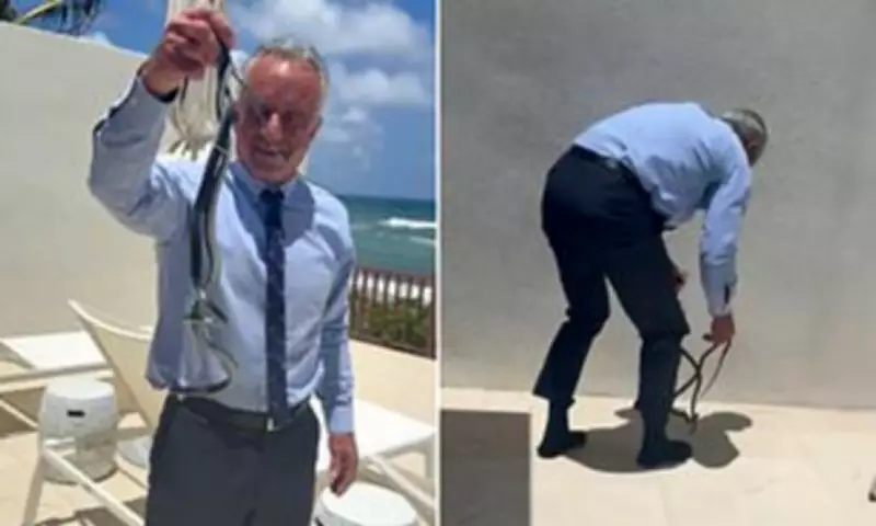 RFK Jr. Wrestles Snakes Bare-Handed as Wife Cheryl Hines Pleads for Release