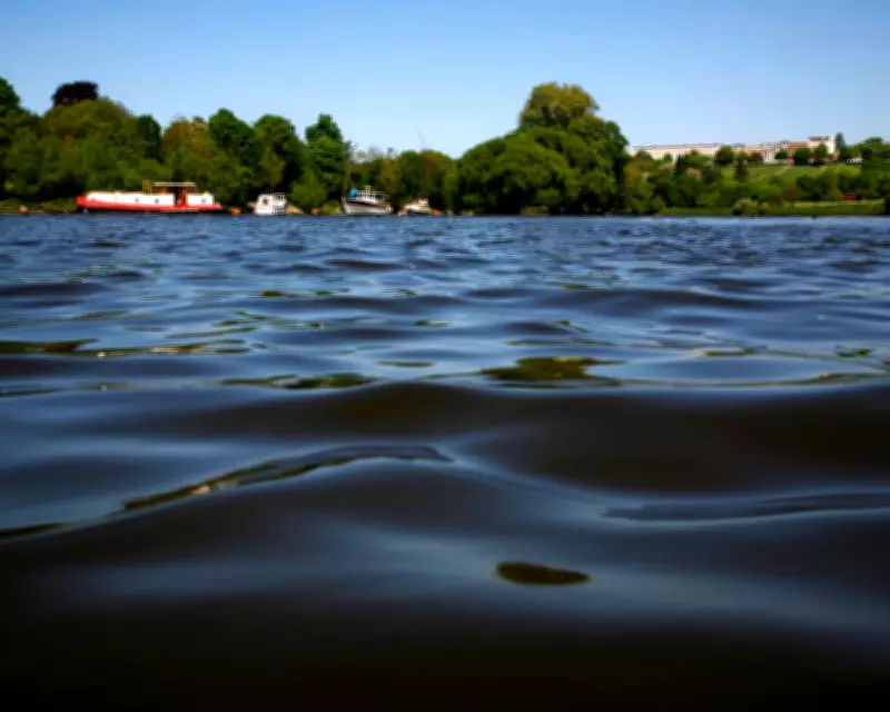 River Thames in London Gets First Official Bathing Spot