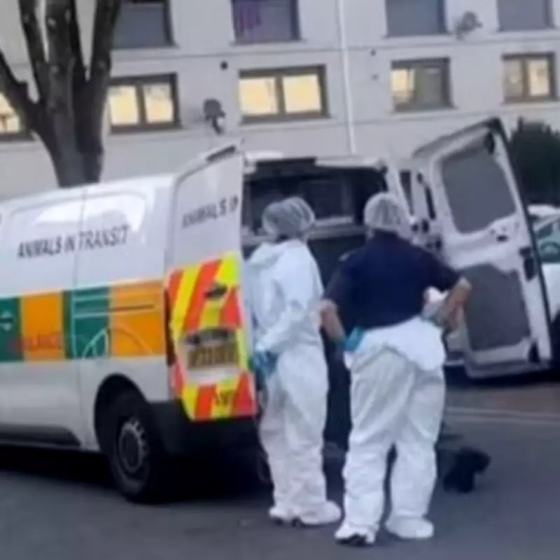 Rochdale Murder Probe After Woman Found Dead in Flat
