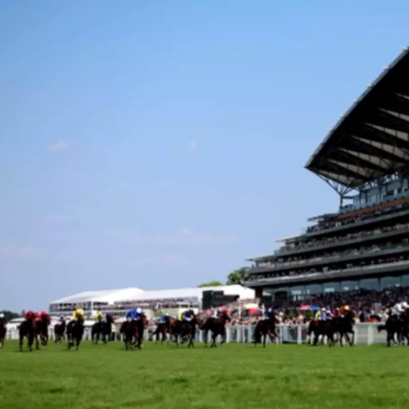 Royal Ascot 2026 Tickets: How to Buy, VIP Packages, and Prices