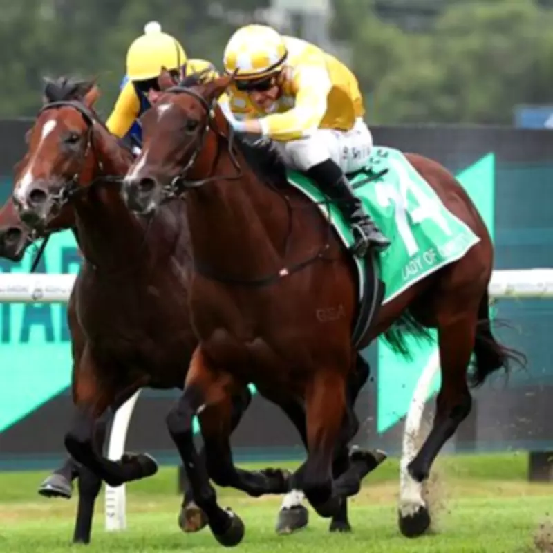 Royal Ascot Hopeful Lady Of Camelot Out After Stingray Attack