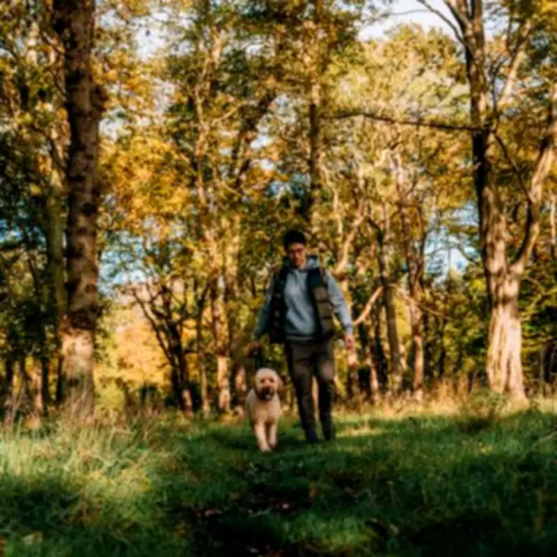 RSPCA Warns Dog Owners About Ticks Ahead of Bank Holiday Heatwave
