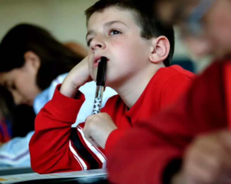 Sats Exams Reveal Parental Anxieties About AI and Long Division