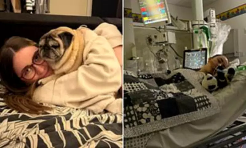 Schoolgirl, 14, Left Paralyzed After Flu Triggers Spinal Stroke