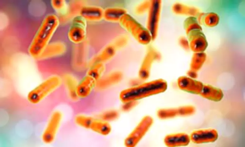 Scientists Uncover How Gut Bacteria Fuels Colon Cancer, Paving Way for New Treatments