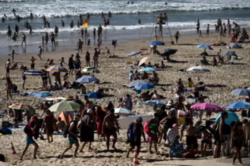 Scientists Warn 'Godzilla' El Niño Could Drive Record Global Temperatures