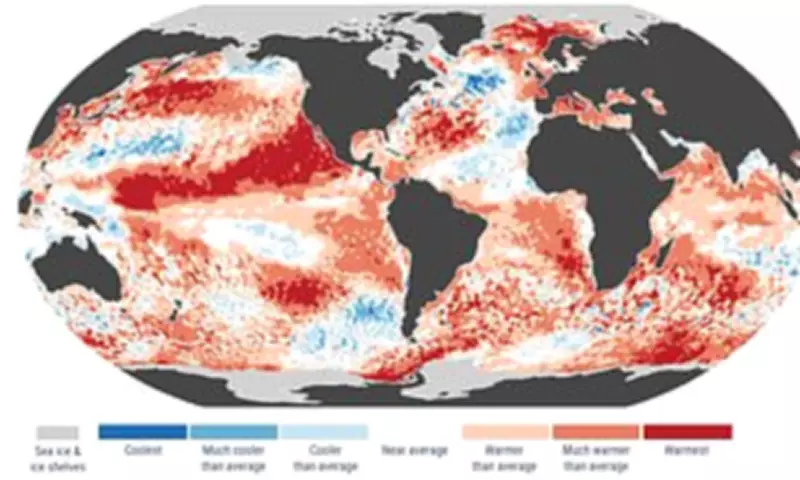 Scientists Warn of 'Extraordinary Extreme Weather' Later This Year as El Niño Looms