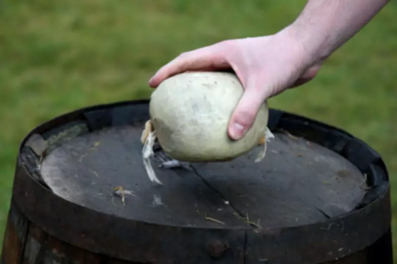 Scottish Butcher Launches Campaign to Legalise Haggis in US for World Cup