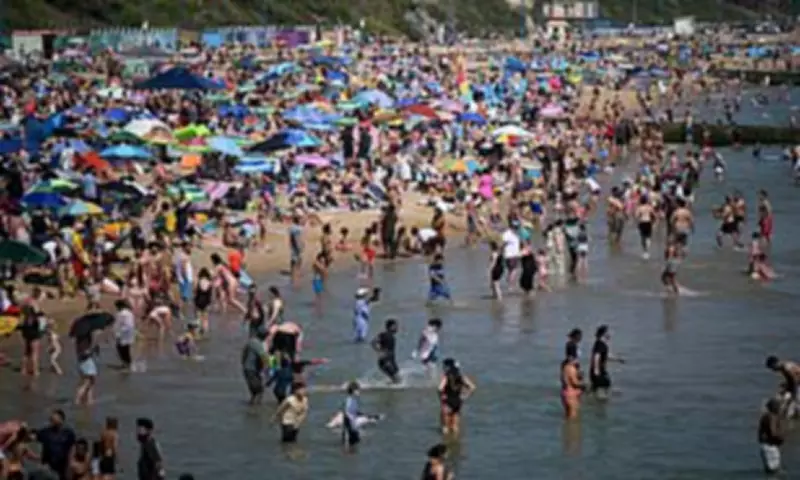 Seaside Council Issues 2,844 Parking Fines Over Bank Holiday Weekend