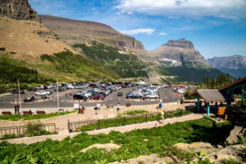 Second Bear Attack in Weeks at Glacier National Park Injures Hiker