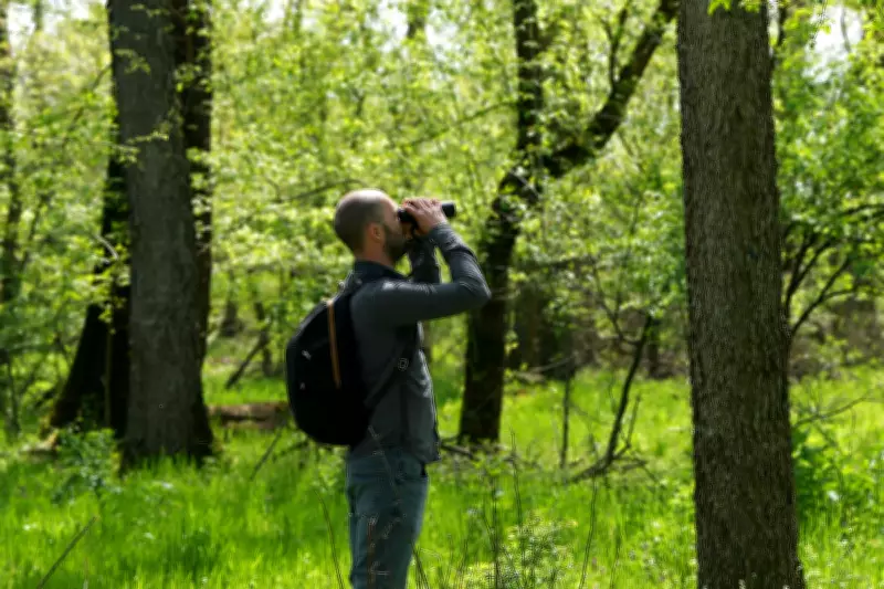 Serbian Bird-Watchers Use Crowdfunding to Preserve Woodland Haven