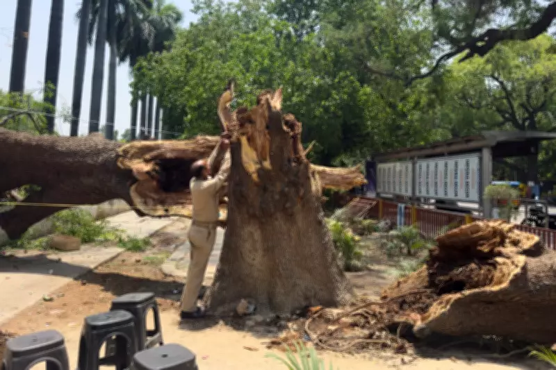 Severe Dust Storms and Lightning Kill at Least 96 in Northern India
