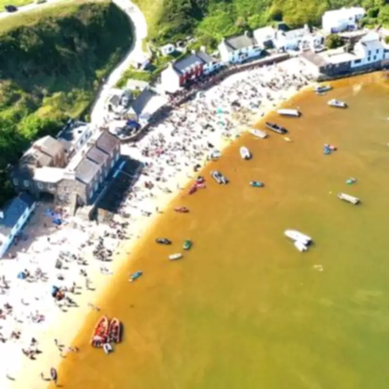 Sewage Fears Dismissed as Brown Water at Welsh Beach Caused by Harmless Algae