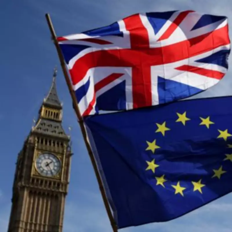 Should the UK Rejoin the EU? Labour Leadership Split Over Brexit