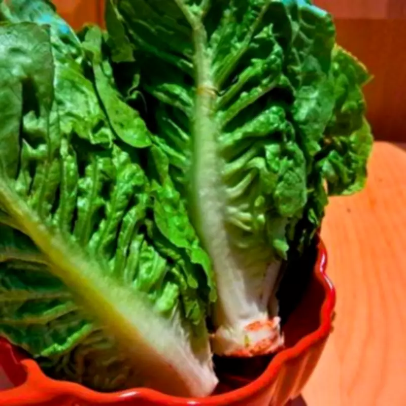 Simple Lettuce Storage Hack Keeps It Fresh for Two Weeks Longer
