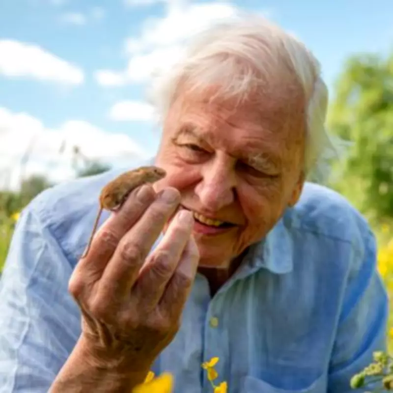 Sir David Attenborough, 100, Thanks Fans for Overwhelming Birthday Wishes