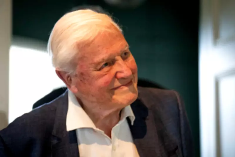 Sir David Attenborough Celebrates 100th Birthday as National Treasure