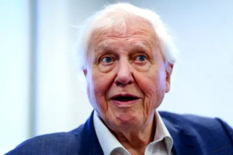 Sir David Attenborough 'Completely Overwhelmed' on His 100th Birthday