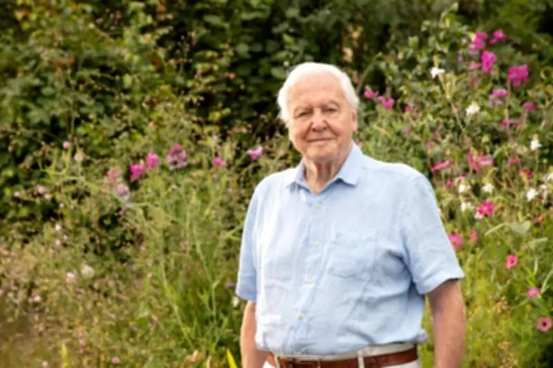 Sir David Attenborough Honoured at 100th Birthday Tribute Event