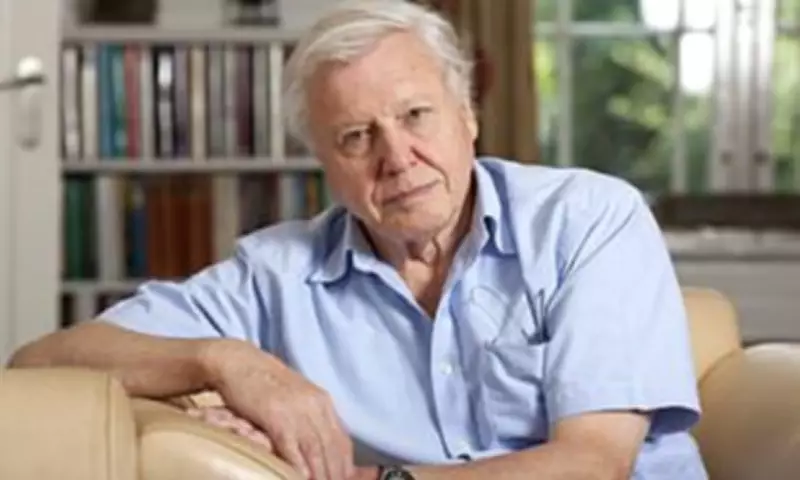 Sir David Attenborough Marks 100th Birthday with New Documentary