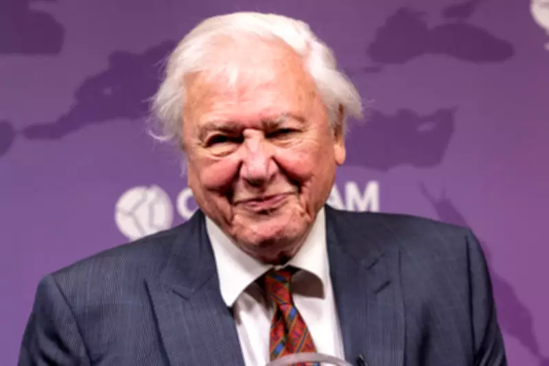 Sir David Attenborough's 100th Birthday Celebrated with BBC Live Show at Royal Albert Hall