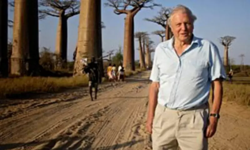Sir David Attenborough's 100th Birthday: Top Wildlife Destinations from His Career
