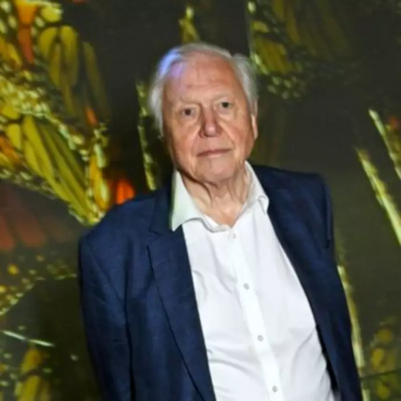 Sir David Attenborough's Dire 2030 Climate Warning for Humanity