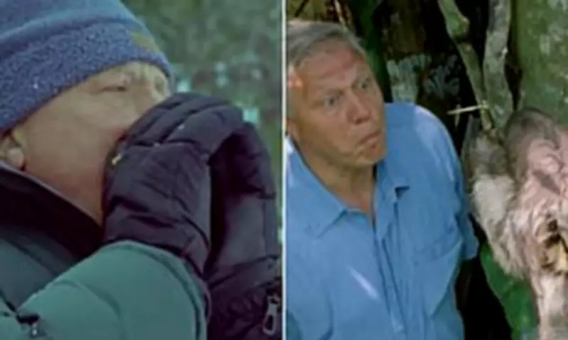 Sir David Attenborough's Most Memorable TV Moments on His 100th Birthday